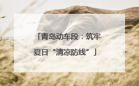 青岛动车段：筑牢夏日“清凉防线”