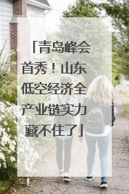 青岛峰会首秀！山东低空经济全产业链实力藏不住了