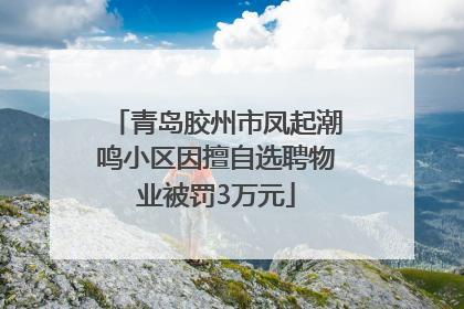 青岛胶州市凤起潮鸣小区因擅自选聘物业被罚3万元