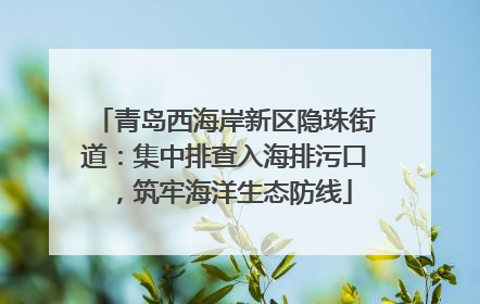 青岛西海岸新区隐珠街道：集中排查入海排污口，筑牢海洋生态防线