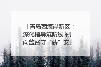 青岛西海岸新区：深化指导筑防线 靶向监督守“薪”安
