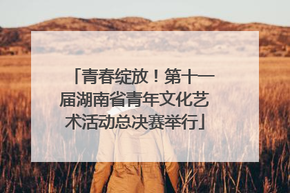 青春绽放！第十一届湖南省青年文化艺术活动总决赛举行
