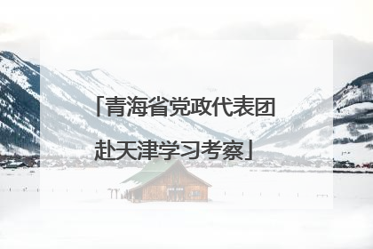 青海省党政代表团赴天津学习考察
