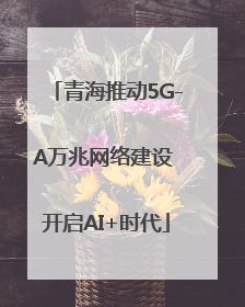 青海推动5G-A万兆网络建设 开启AI+时代