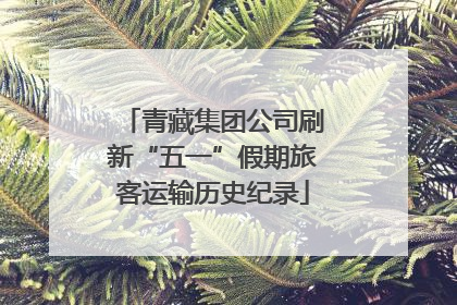 青藏集团公司刷新“五一”假期旅客运输历史纪录