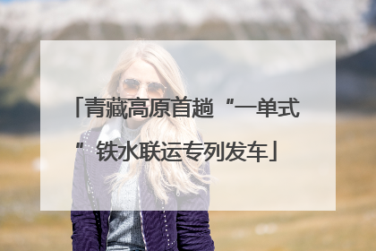 青藏高原首趟“一单式”铁水联运专列发车