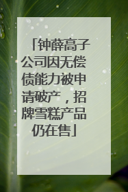 钟薛高子公司因无偿债能力被申请破产，招牌雪糕产品仍在售