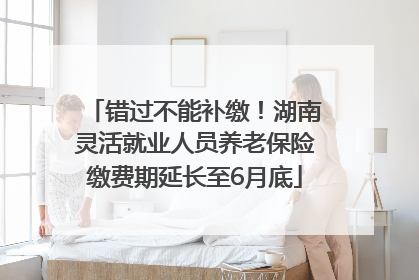 错过不能补缴！湖南灵活就业人员养老保险缴费期延长至6月底
