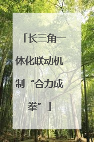 长三角一体化联动机制“合力成拳”