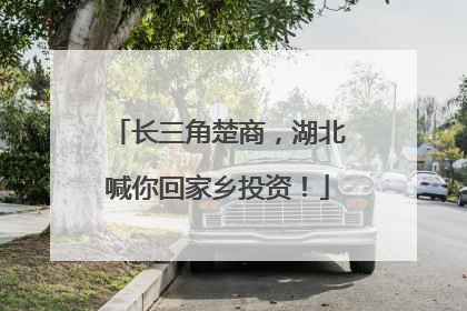 长三角楚商，湖北喊你回家乡投资！
