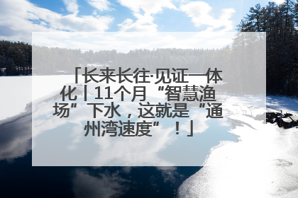 长来长往·见证一体化丨11个月“智慧渔场”下水，这就是“通州湾速度”！