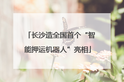 长沙造全国首个“智能押运机器人”亮相