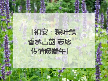 镇安：粽叶飘香承古韵 志愿传情暖端午