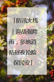 防汛火线｜迎战强降雨，多地消防昼夜抢险保民安