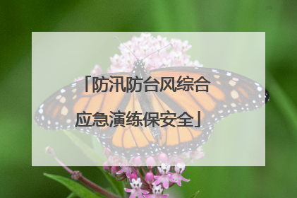 防汛防台风综合应急演练保安全