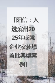 阳信：入选滨州2025年成就企业家梦想首批典型案例