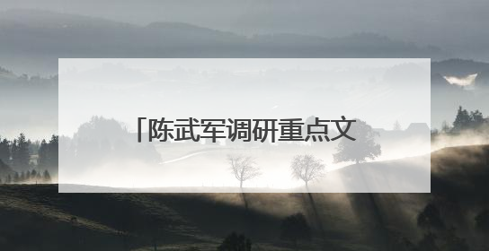 陈武军调研重点文旅项目推进情况