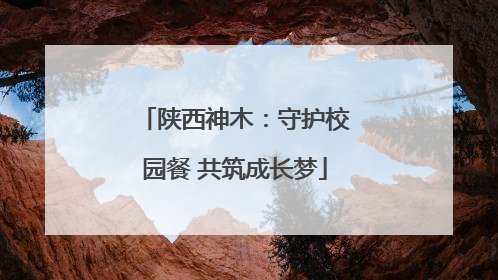 陕西神木：守护校园餐 共筑成长梦
