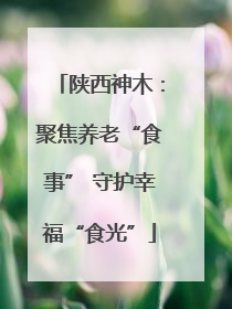 陕西神木：聚焦养老“食事” 守护幸福“食光”