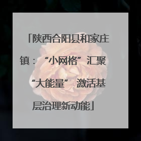 陕西合阳县和家庄镇：“小网格”汇聚“大能量” 激活基层治理新动能
