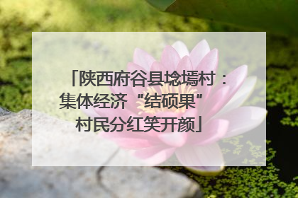 陕西府谷县埝墕村：集体经济“结硕果” 村民分红笑开颜