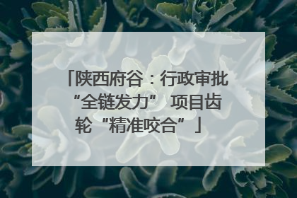 陕西府谷：行政审批“全链发力” 项目齿轮“精准咬合”