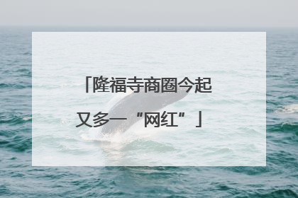 隆福寺商圈今起又多一“网红”