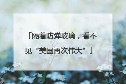 隔着防弹玻璃，看不见“美国再次伟大”