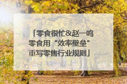 零食很忙&赵一鸣零食用“效率壁垒”重写零售行业规则