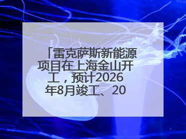 雷克萨斯新能源项目在上海金山开工，预计2026年8月竣工、2027年投产