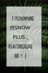 雪加鸭嘴兽SNOWPLUS，卷起潮流风暴！