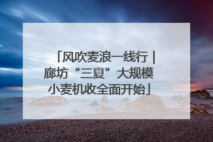 风吹麦浪一线行｜廊坊“三夏”大规模小麦机收全面开始