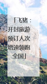 飞猪：开封旅游预订人次增速领跑全国