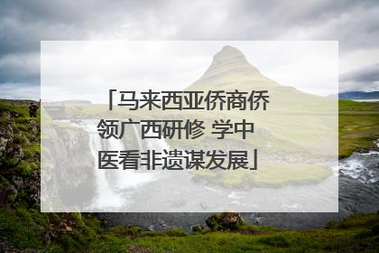 马来西亚侨商侨领广西研修 学中医看非遗谋发展
