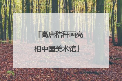 高唐秸秆画亮相中国美术馆