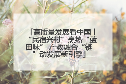 高质量发展看中国丨“民宿兴村”烹热“蓝田味” 产教融合“链”动发展新引擎