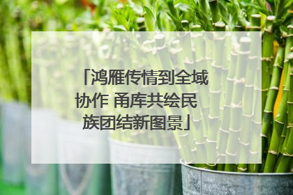 鸿雁传情到全域协作 甬库共绘民族团结新图景