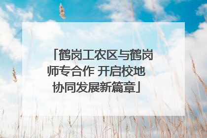 鹤岗工农区与鹤岗师专合作 开启校地协同发展新篇章
