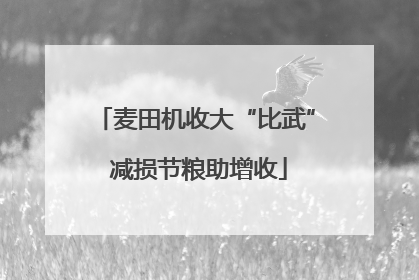 麦田机收大“比武” 减损节粮助增收
