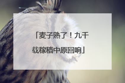 麦子熟了！九千载稼穑中原回响