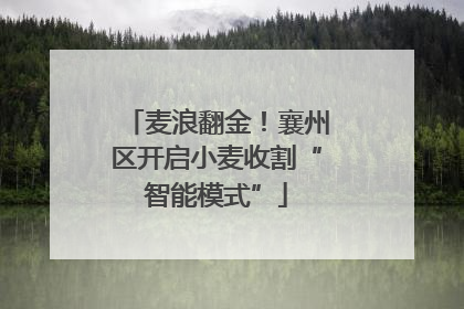 麦浪翻金！襄州区开启小麦收割“智能模式”