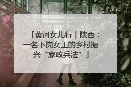 黄河女儿行｜陕西：一名下岗女工的乡村振兴“家政兵法”