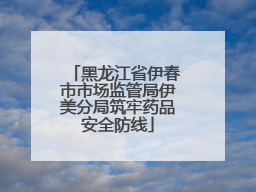 黑龙江省伊春市市场监管局伊美分局筑牢药品安全防线