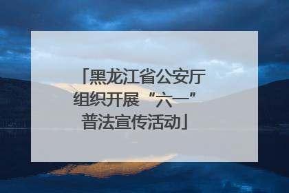 黑龙江省公安厅组织开展“六一”普法宣传活动