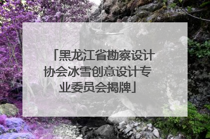 黑龙江省勘察设计协会冰雪创意设计专业委员会揭牌
