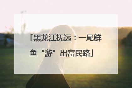 黑龙江抚远：一尾鲜鱼“游”出富民路