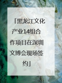 黑龙江文化产业14组合作项目在深圳文博会现场签约