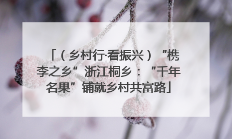 （乡村行·看振兴）“槜李之乡”浙江桐乡：“千年名果”铺就乡村共富路