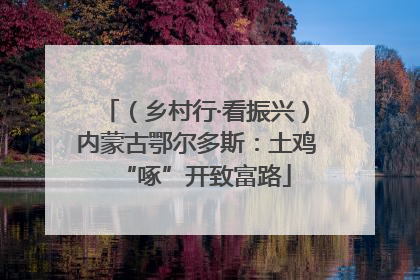（乡村行·看振兴）内蒙古鄂尔多斯：土鸡“啄”开致富路