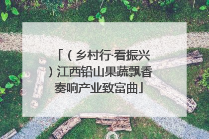 （乡村行·看振兴）江西铅山果蔬飘香 奏响产业致富曲